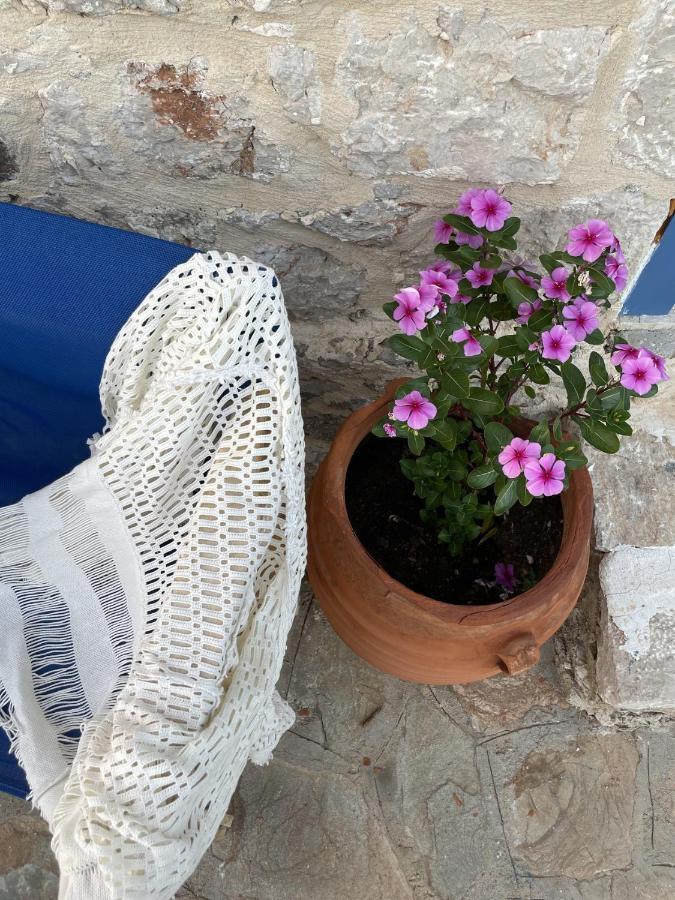 Marina Castellana Studios II Chalki Town ภายนอก รูปภาพ