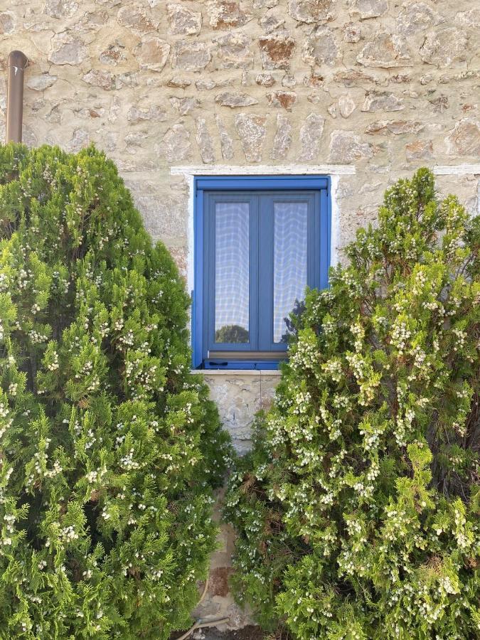Marina Castellana Studios II Chalki Town ภายนอก รูปภาพ
